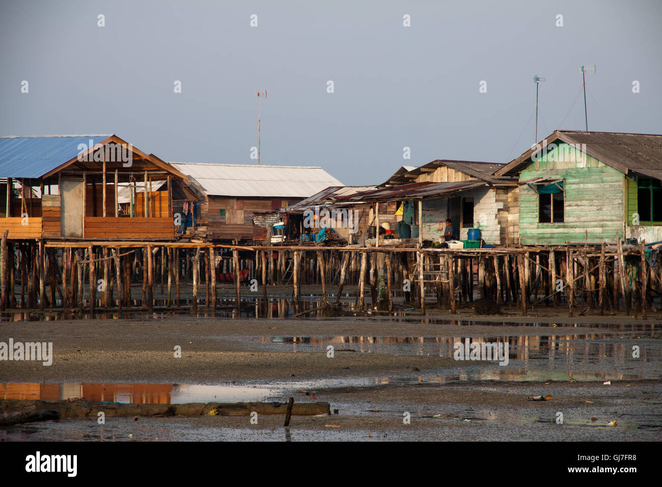 Stilted Community Stilted houses in village on a Island in Indonesia during low tide ...