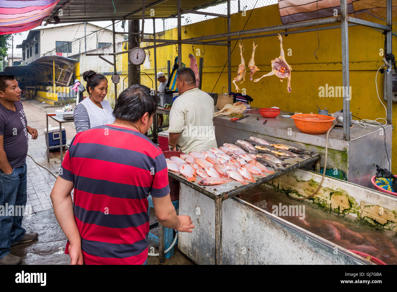 Local people shop for fish and poultry at a market in Coca, the gateway city to the Amazons. Ecuador, South America. Stock Photo