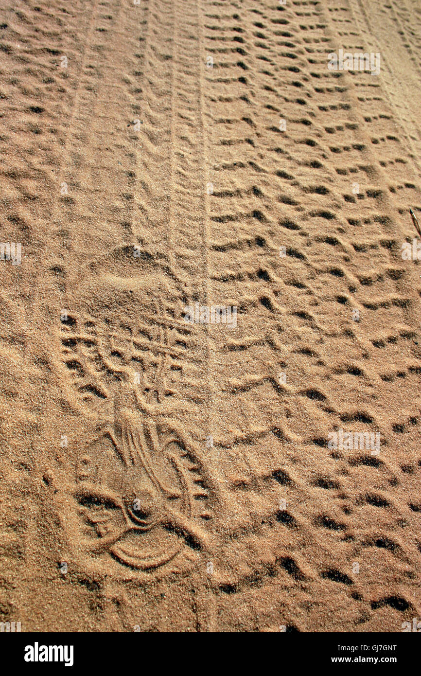 Footprints walking in the sand into the distance Stock Photo - Alamy