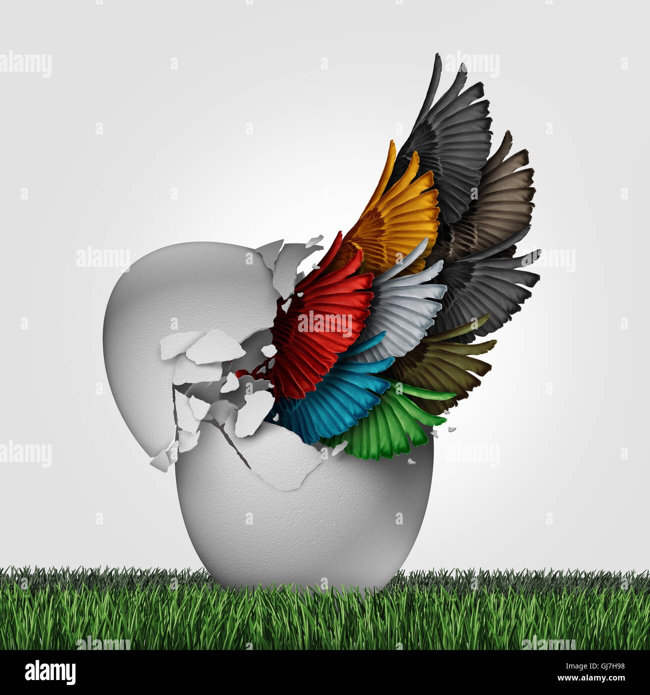 Business organization start as a concept for a new startup corporation or starting a venture with diversity for teamwork success as a group of diverse wings emerging out from an egg with 3D illustration elements. Stock Photo