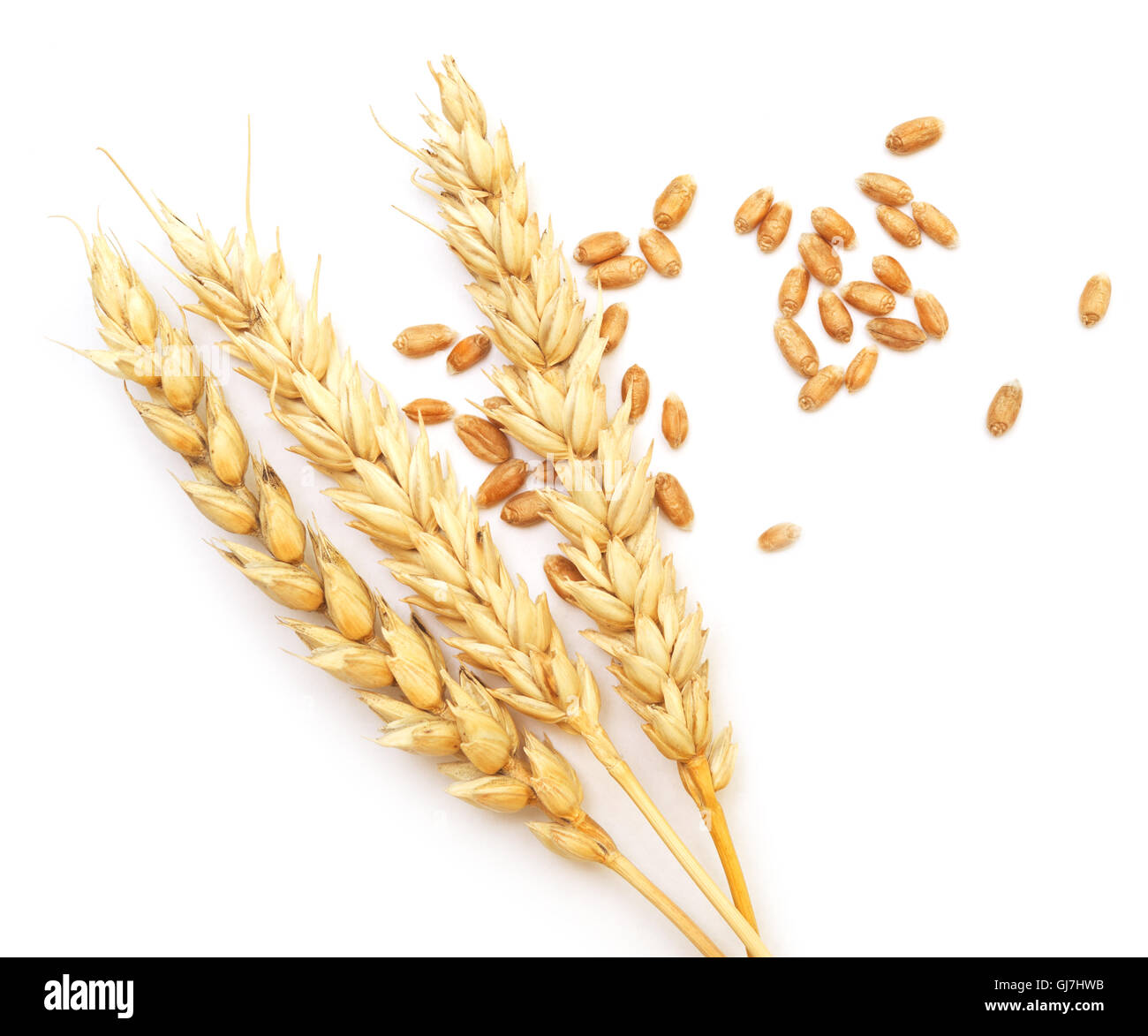 wheat isolated on white background Stock Photo