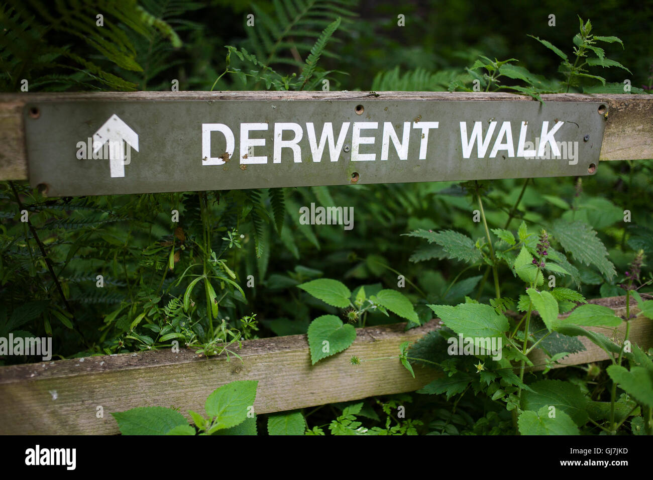 Sign for the Derwent Walk in near Rowlands Gill in County Durham. Stock Photo