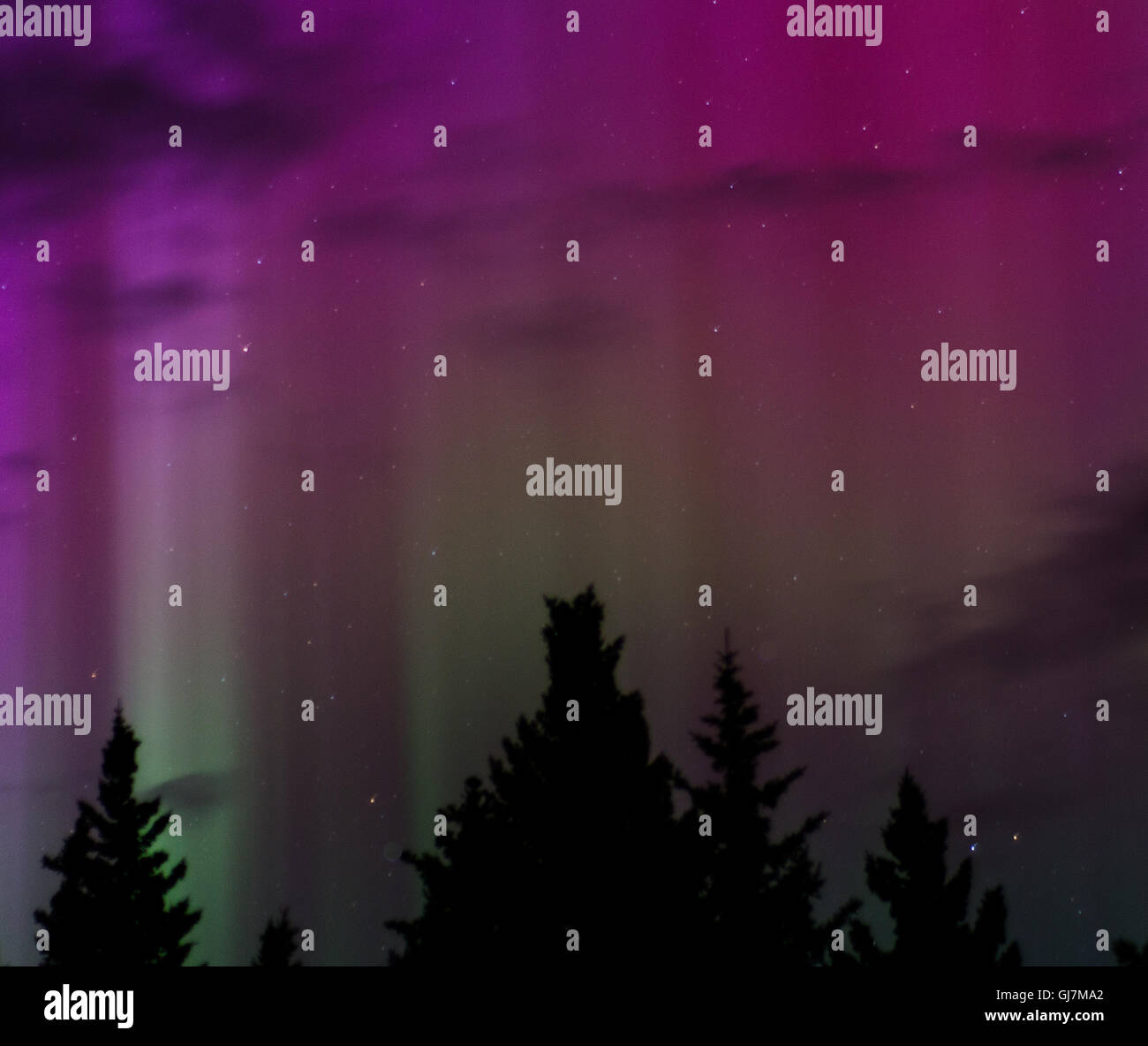Pillars of green aurora light reach up into a purple aurora driven