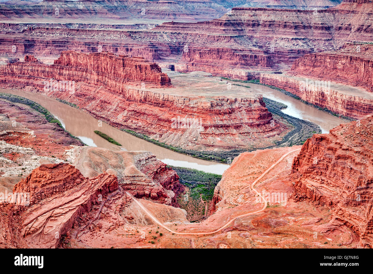 The Colorado River at Dead Horse Point State Park, Utah, USA Stock Photo