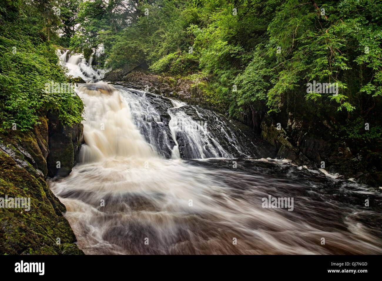 Swallow Falls in the Snowdonia National Park, near Betws y Coed, Conwy,Wales, UK. Stock Photo