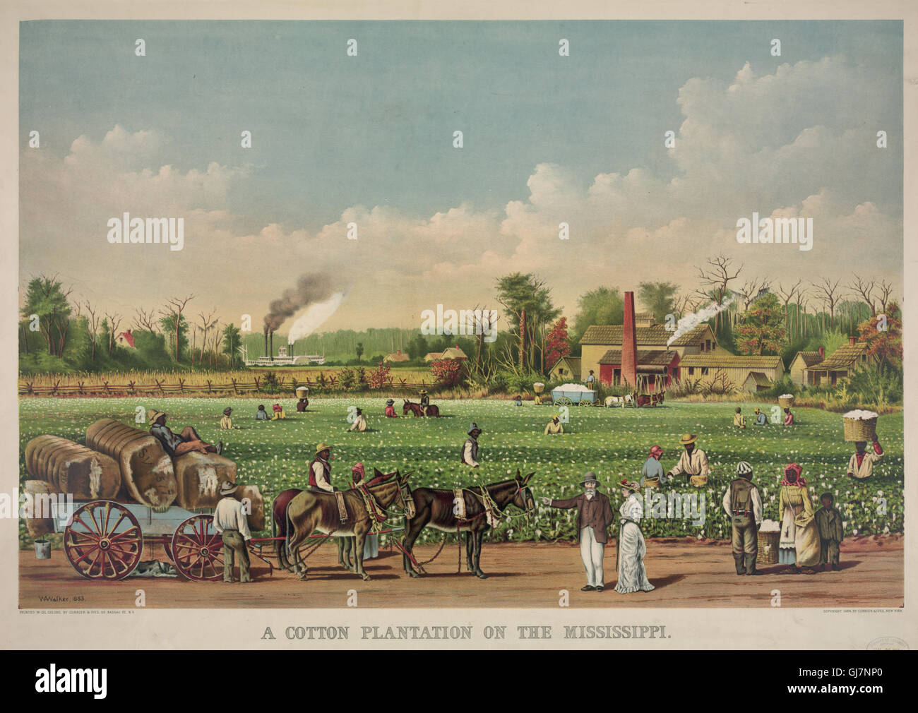 Cotton Plantation on the Mississippi Stock Photo