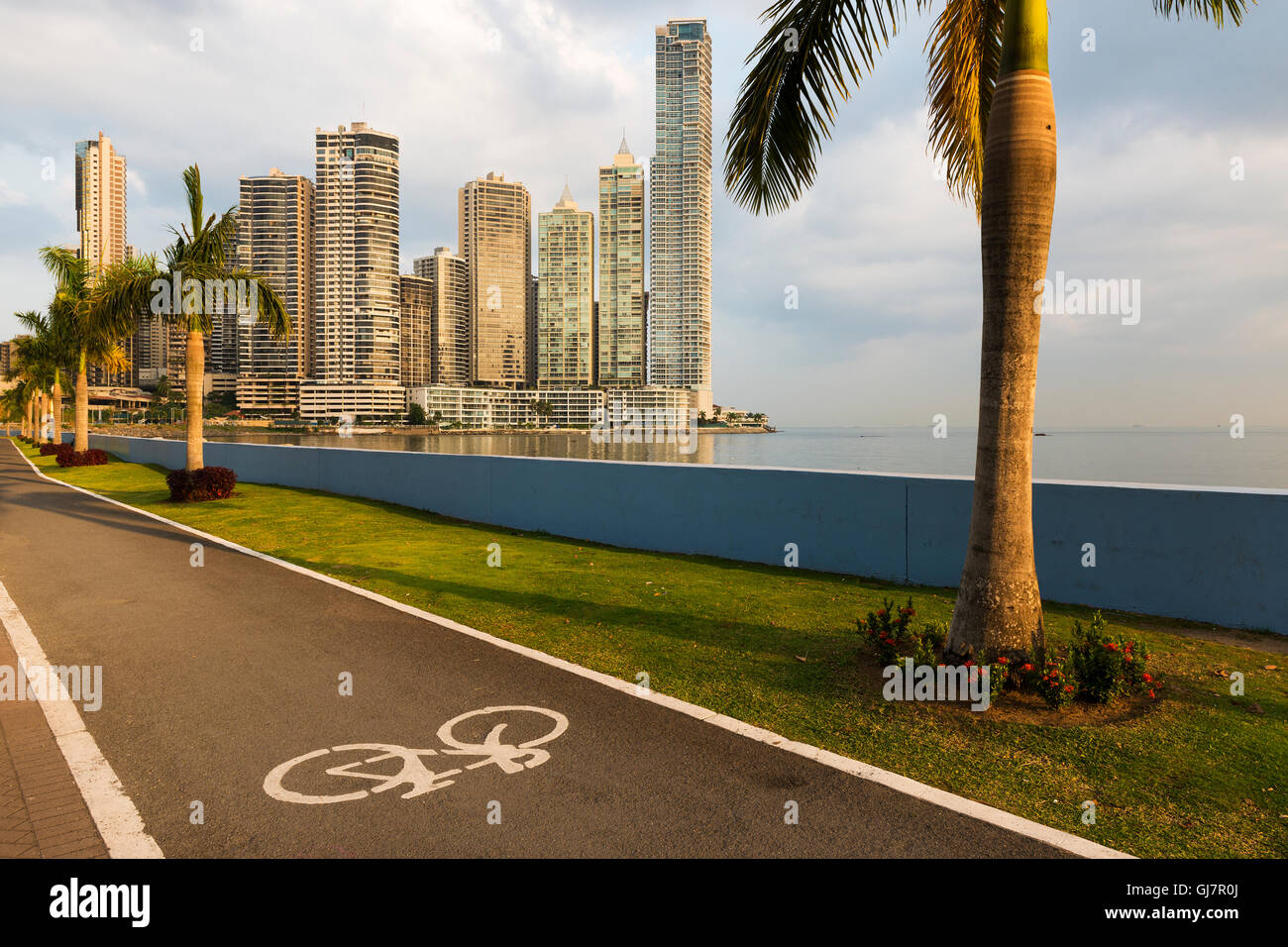 View of the financial district in downtown City of Panama, Panama, with a cycling lane and Palm Trees; Concept for travel in Pan Stock Photo