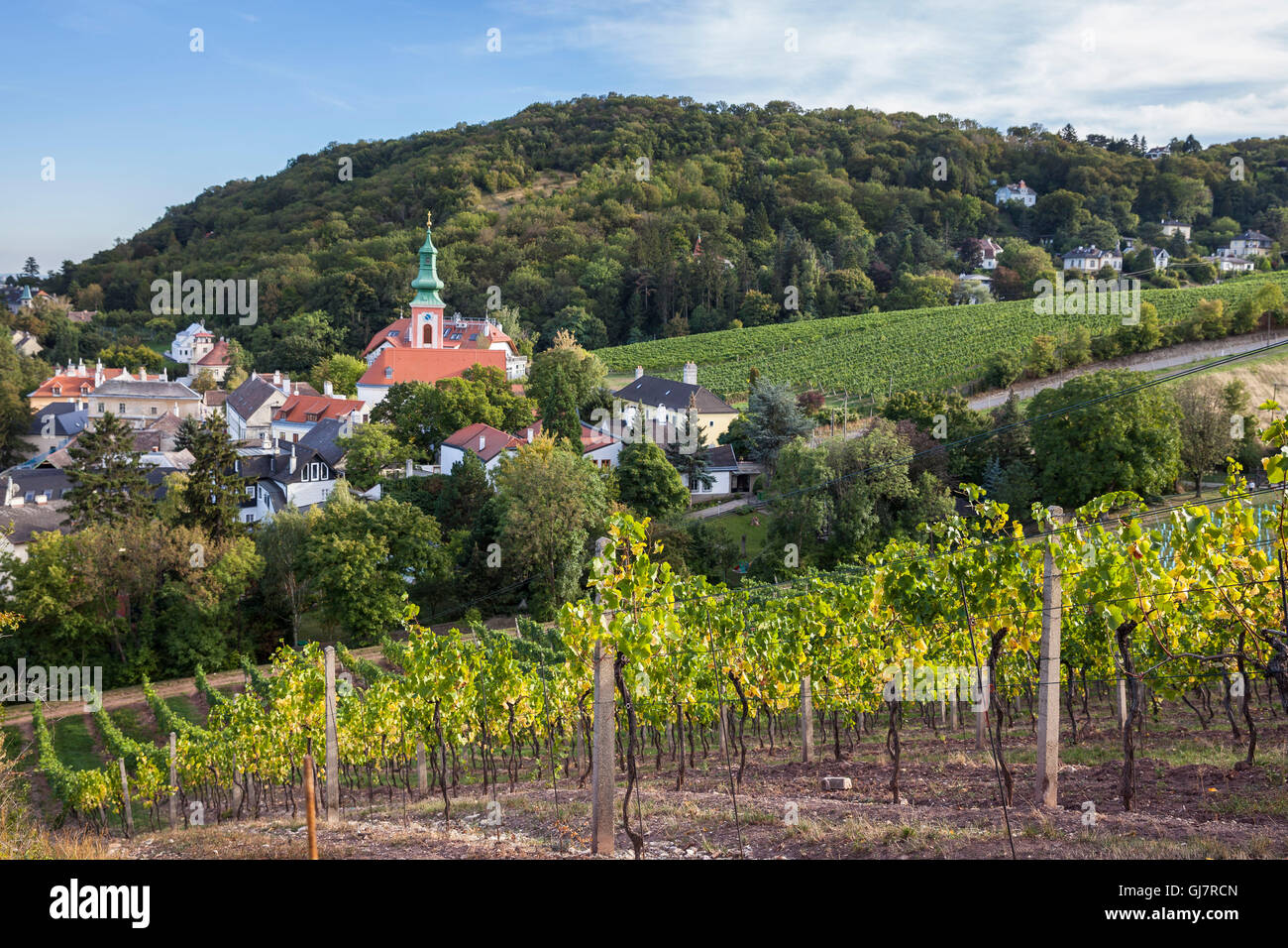 Kahlenbergerdorf, 19th area, Döbling, Vienna, Austria Stock Photo Alamy
