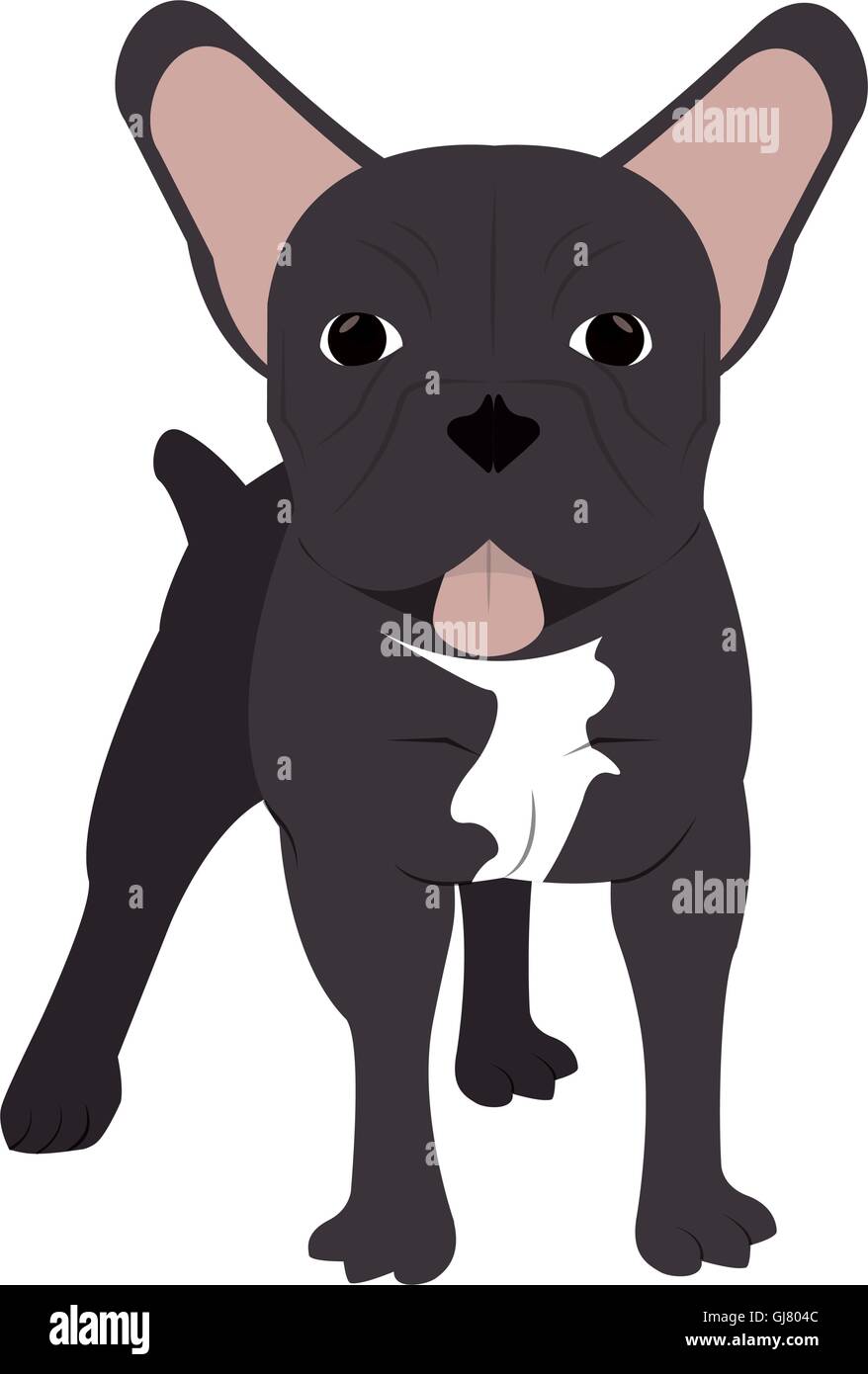 french bulldog icon Stock Vector Image & Art - Alamy