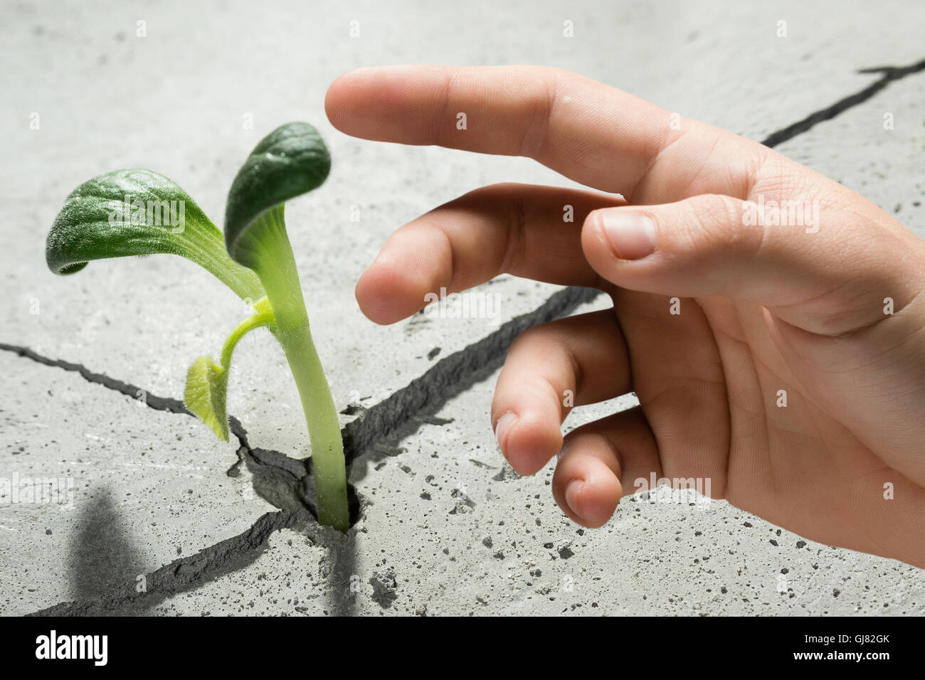 Is there life on moon Stock Photo - Alamy