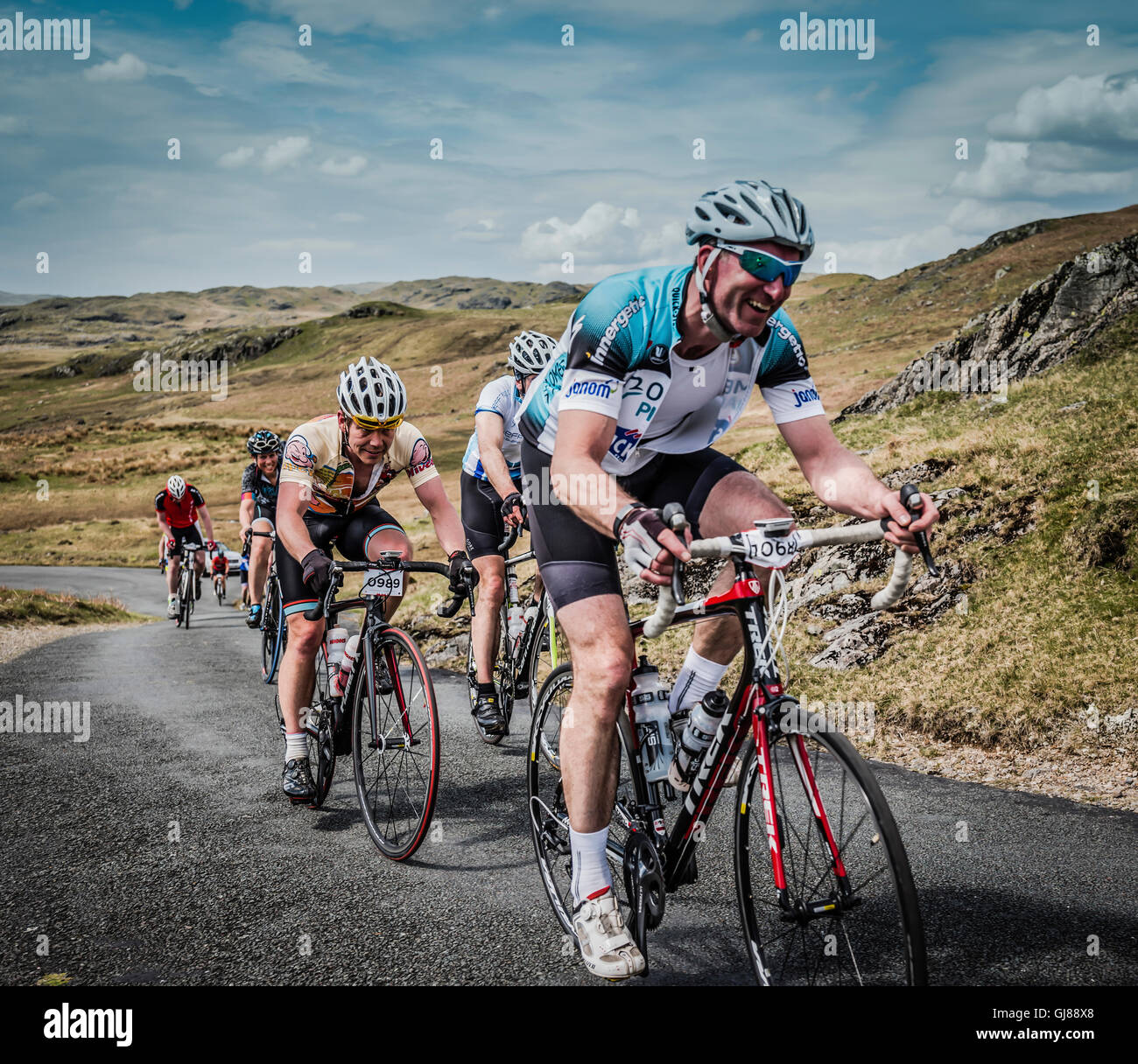 fred whitton jersey
