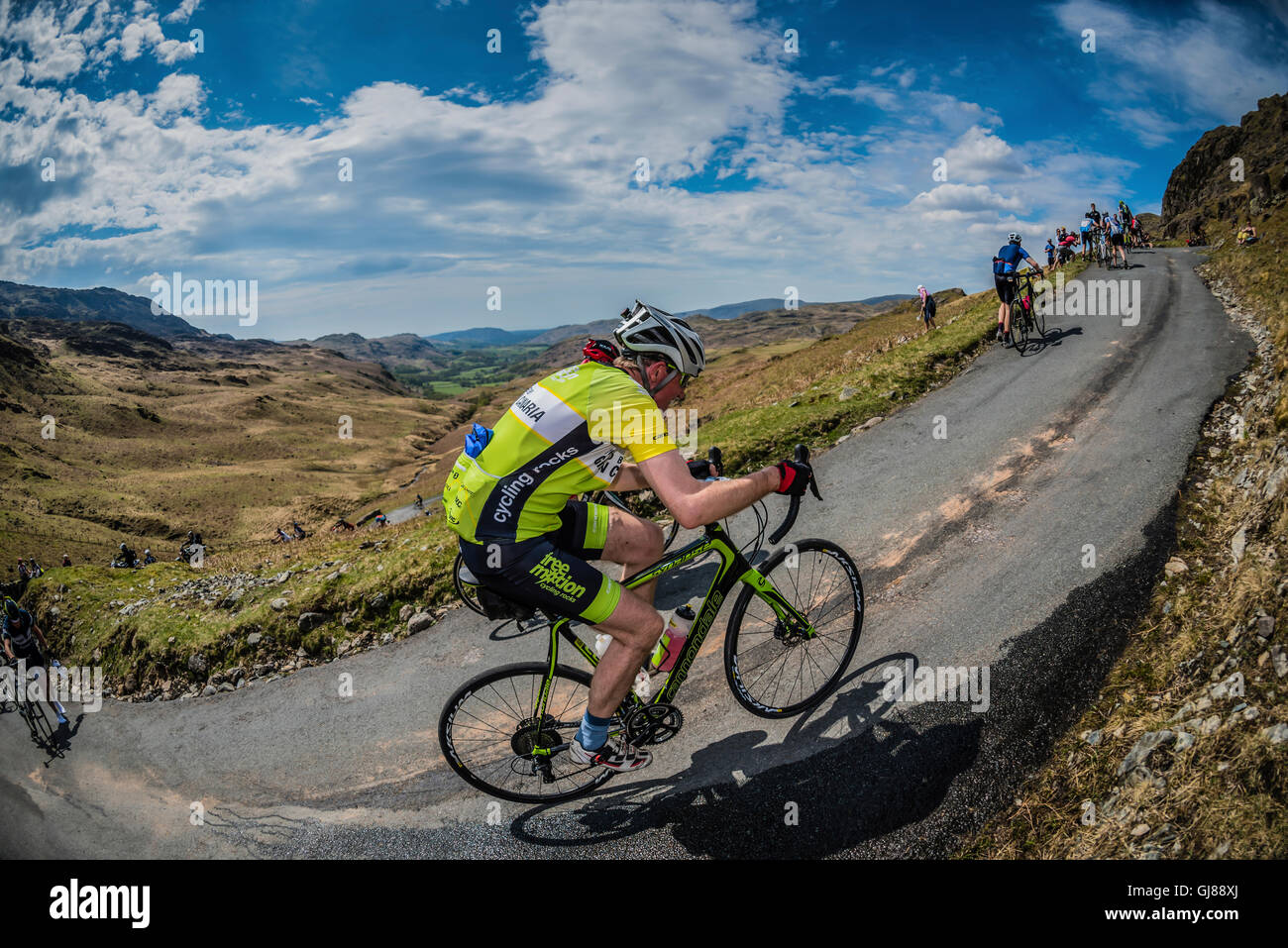 fred whitton jersey