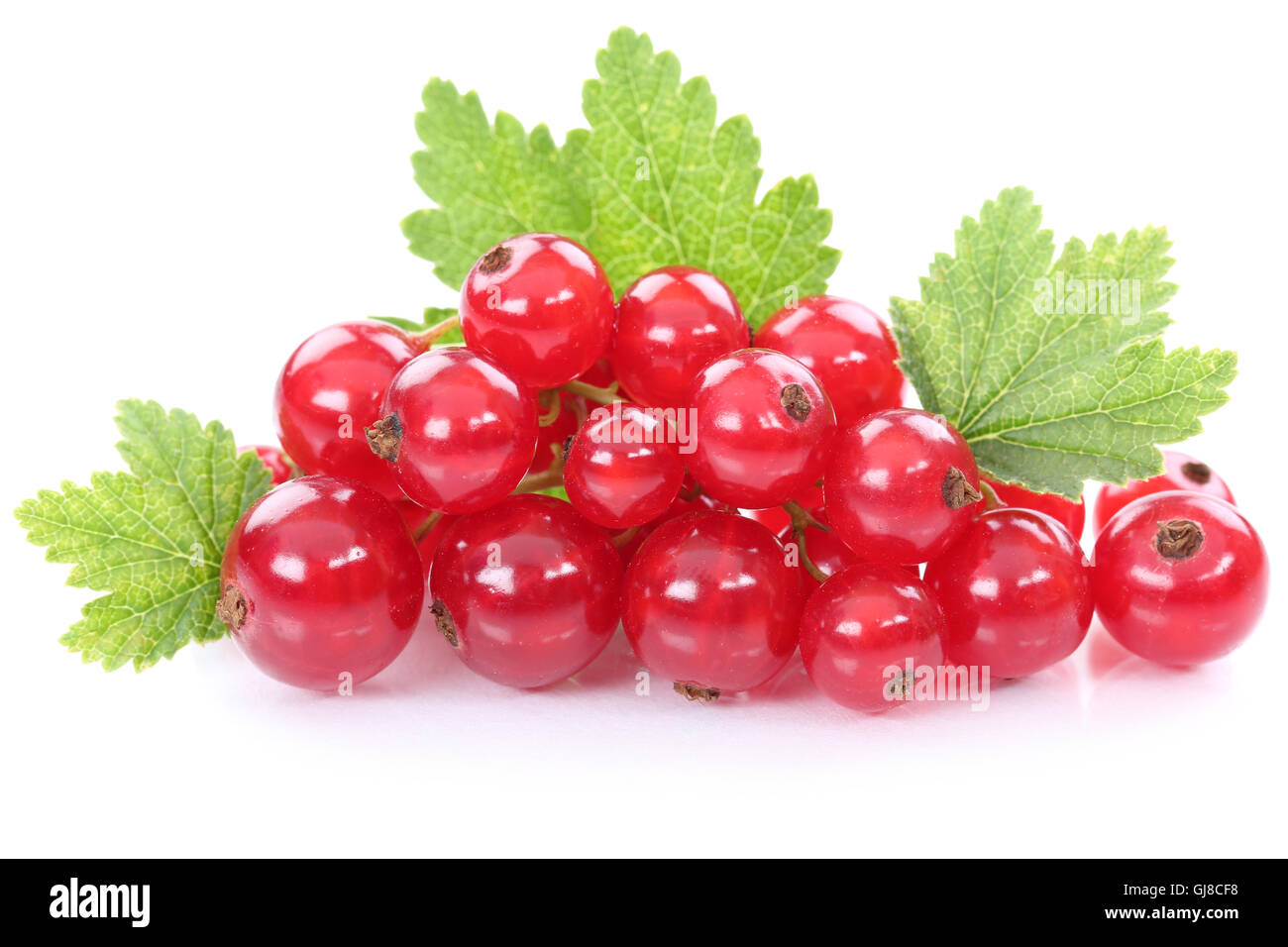 Red currant currants berries fruits fruit isolated on white Stock Photo