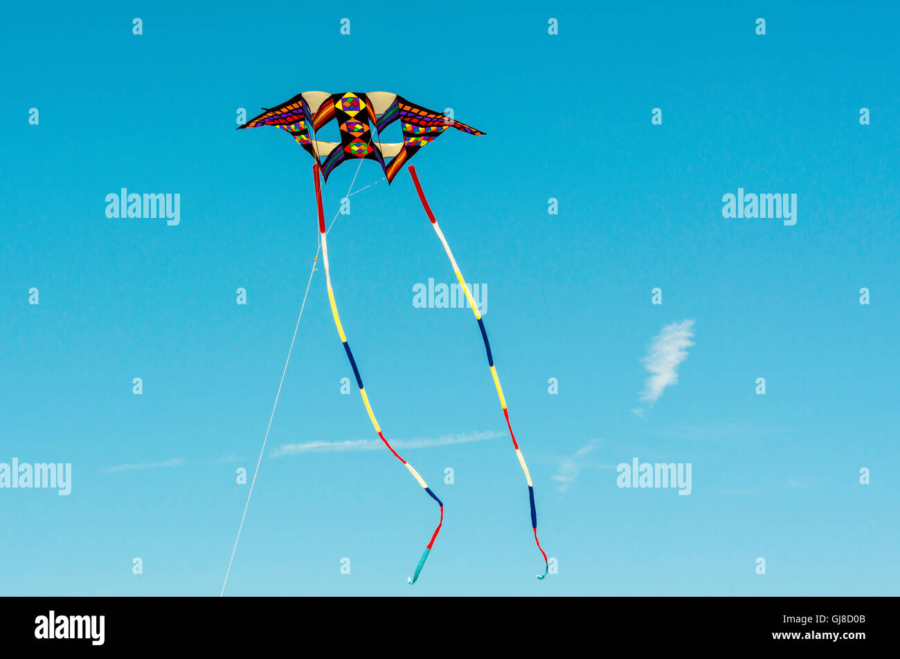 kites flying in Newport RI Stock Photo