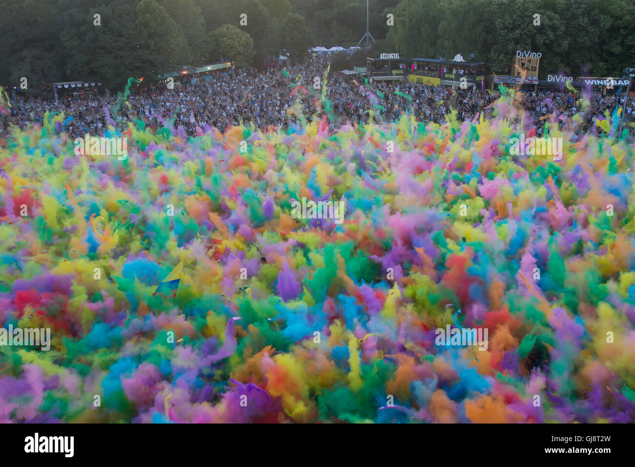 Budapest, Hungary. 13th Aug, 2016. Festival goers throw paint powder into the air during a Color Party of Sziget Festival on the Obuda Island in Budapest, Hungary, on Aug. 13, 2016. © Attila Volgyi/Xinhua/Alamy Live News Stock Photo