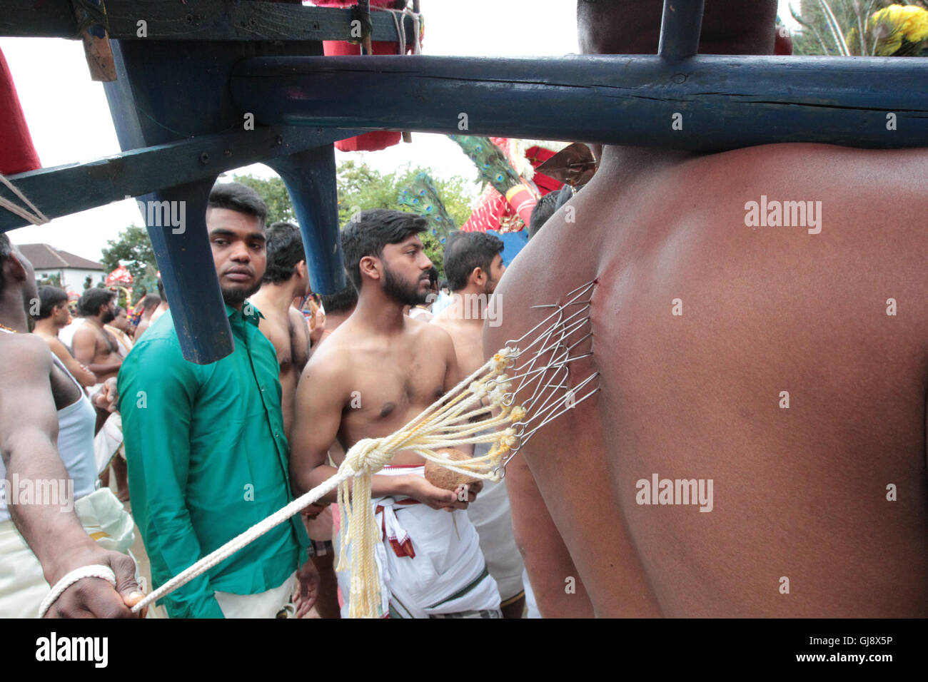 Ealing, London, UK. 14th Aug, 2016.  Views of a chariot procession which is the culmination of the annual Shri Kanagathurkkai Amman Temple (SKAT) festival of Thaipusam in West Ealing. The festival attracts thousands of Hindu devotees to West Ealing from all over the world. Credit:  Roger Garfield/Alamy Live News Stock Photo