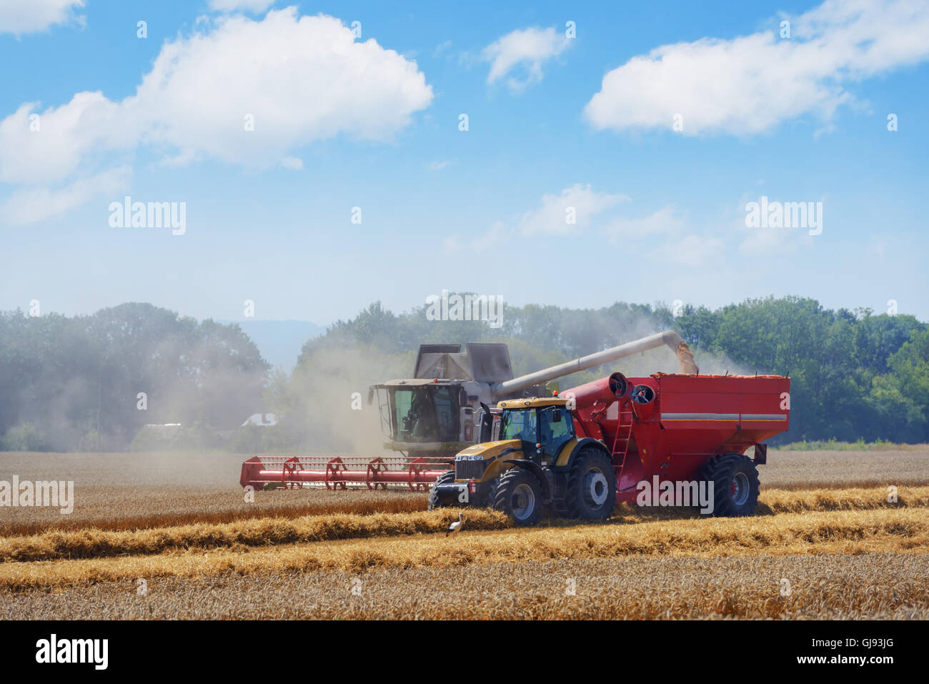 Amazing rural scene on autumn field with harvester Stock Photo