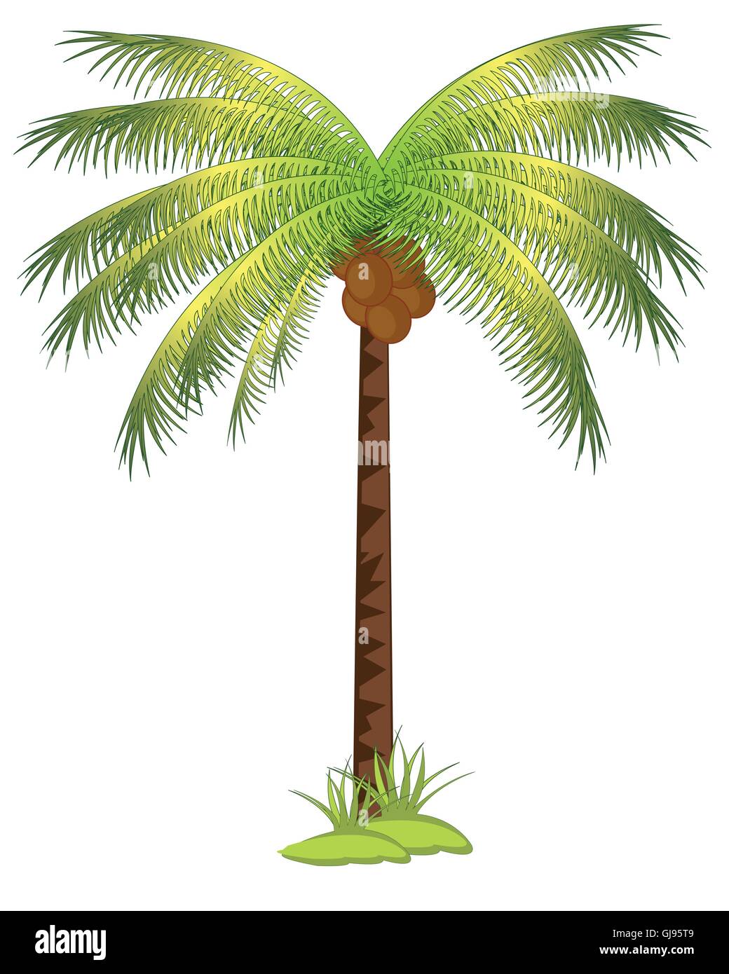 The Tropical tree palm with fruit coco.Vector illustration Stock Vector ...