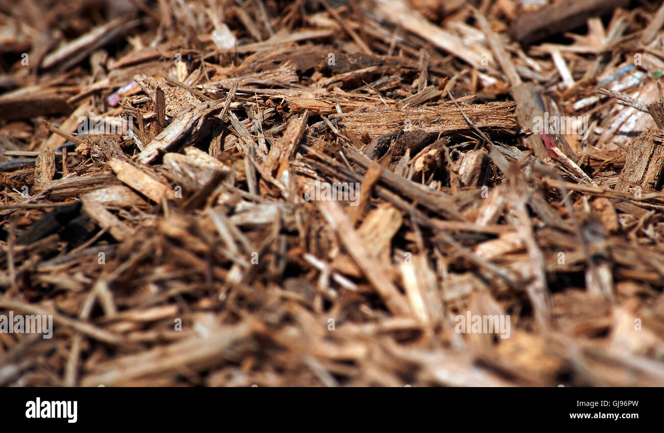 Mulch, Lake Shafer, Indiana, USA, North America Stock Photo Alamy