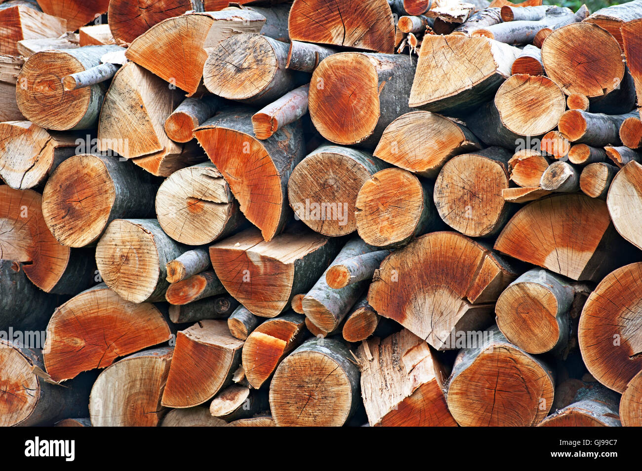 Stack of firewood Stock Photo Alamy
