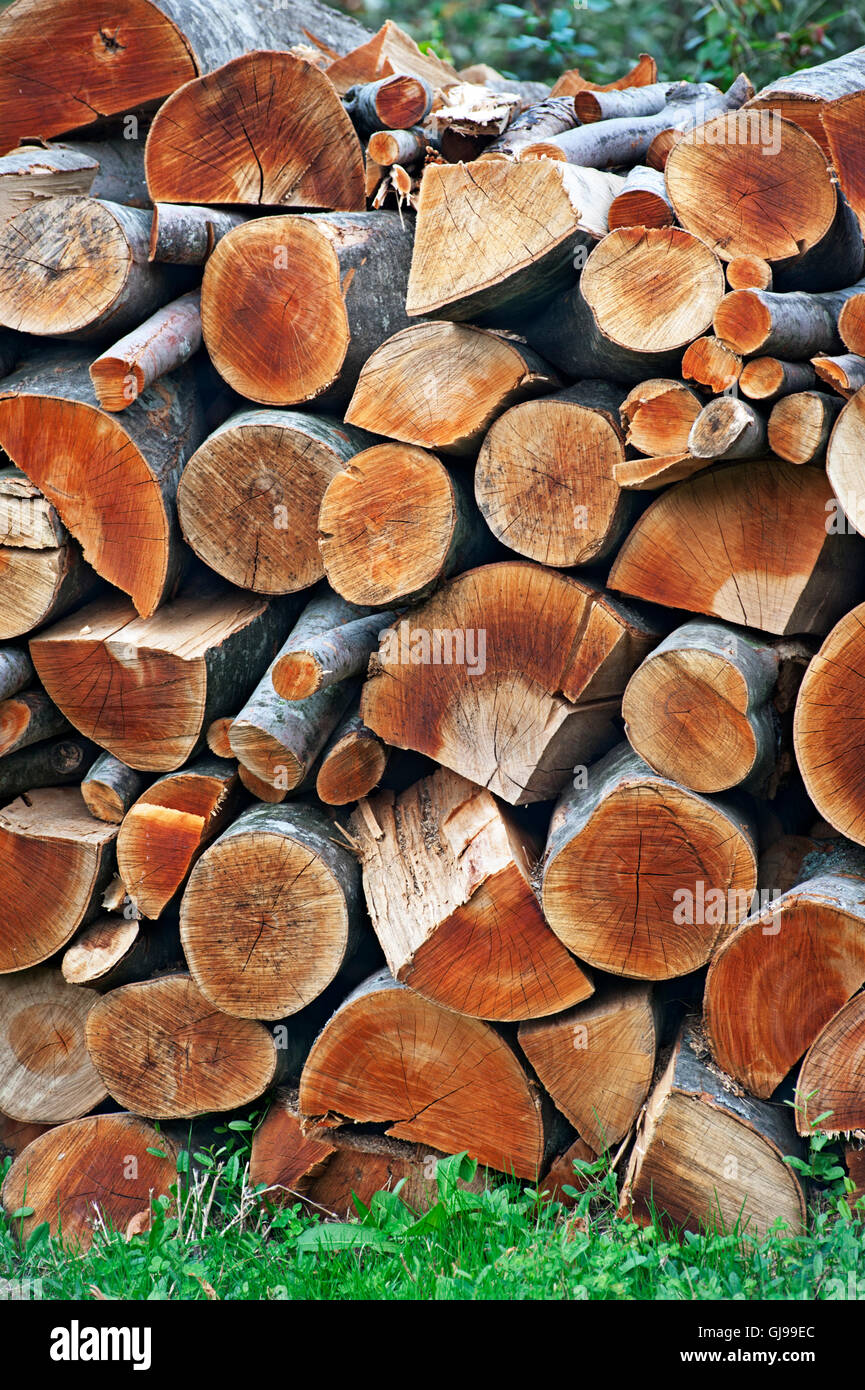 Stack of firewood Stock Photo Alamy