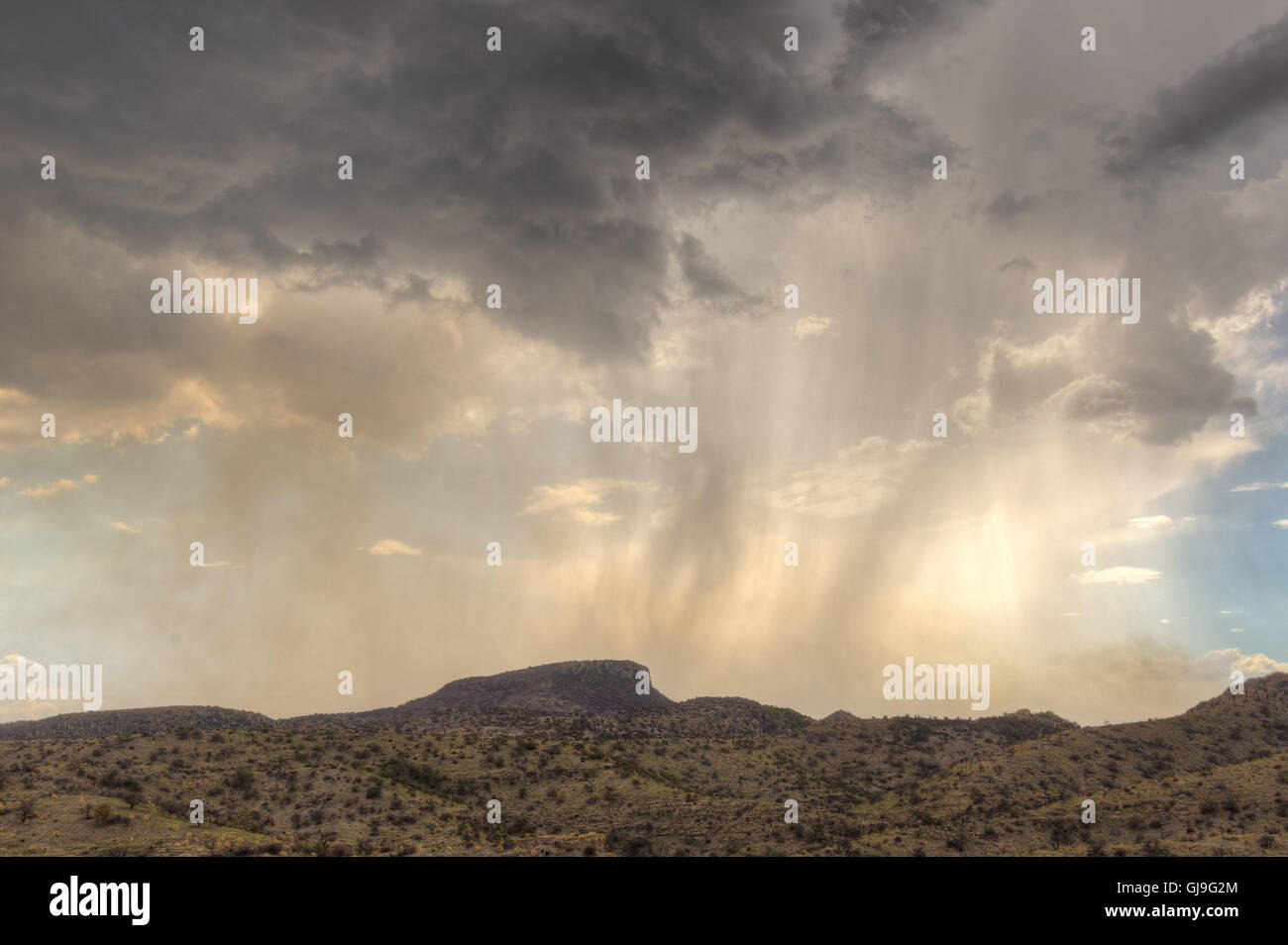 Monsoon thunderstorm from Ruby Road, Arizona, USA. Stock Photo