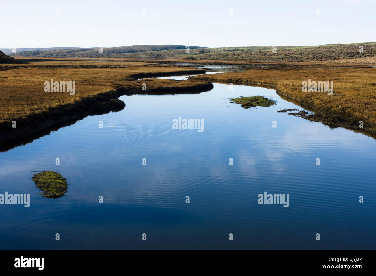 Early Morning Landscape, Point Reyes National Seashore, Californ Stock ...