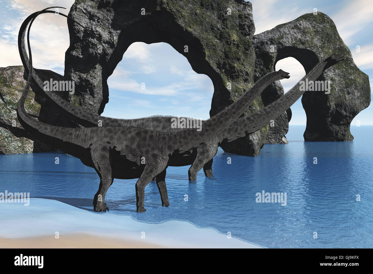 Diplodocus fossil hires stock photography and images Alamy