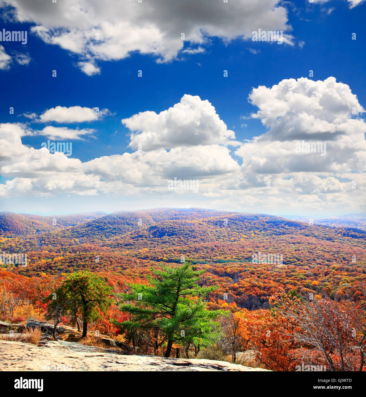 The foliage scenery from the top of Bear Mountain Stock Photo - Alamy
