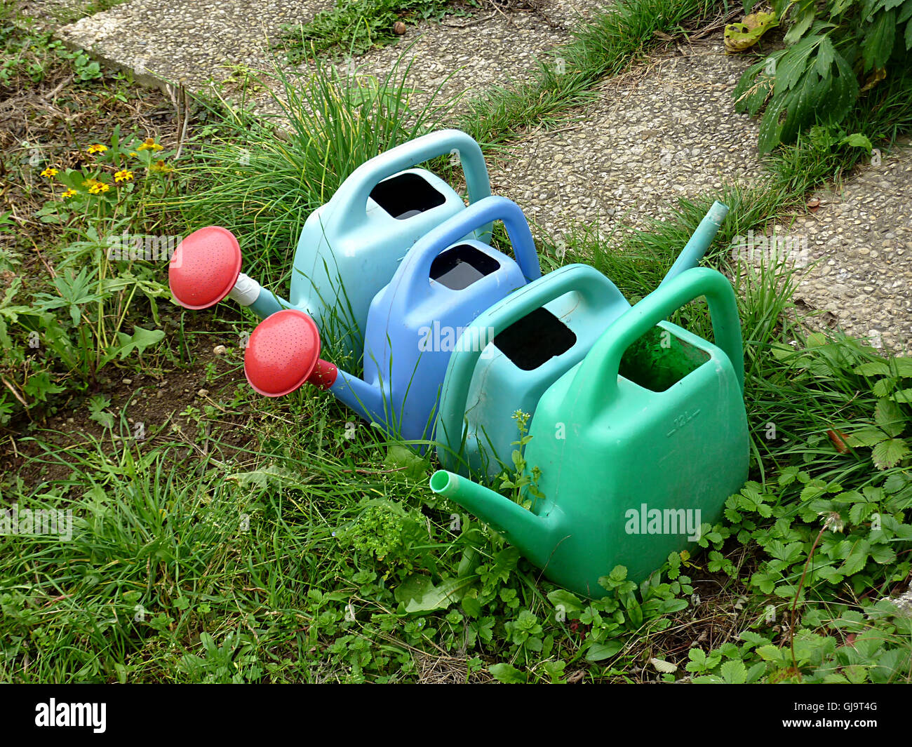 Four watering canes in garden Stock Photo Alamy