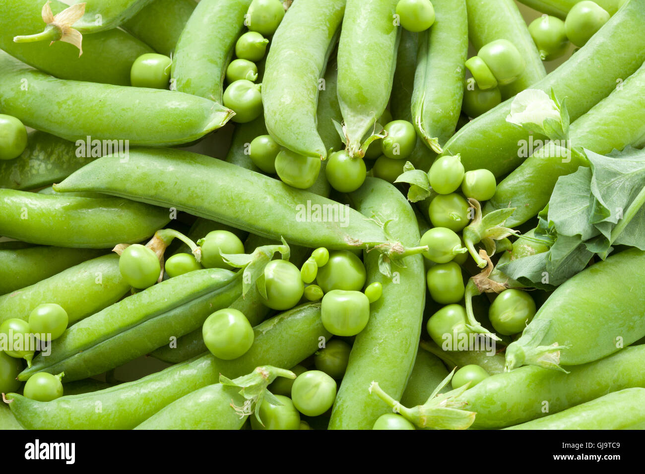 Green peas in the pod Stock Photo Alamy