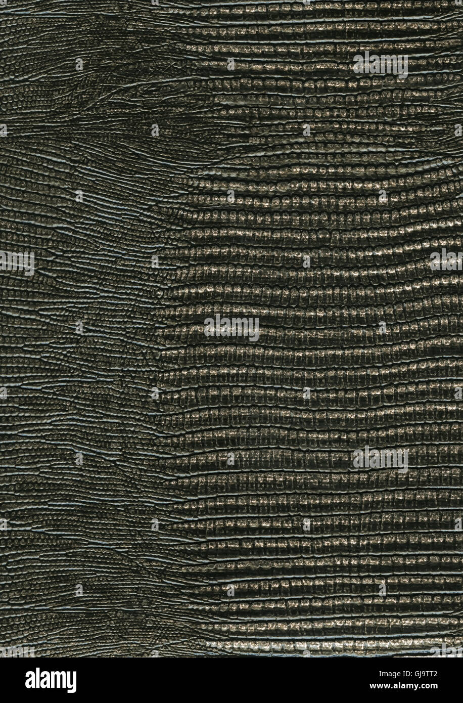 texture of skin Stock Photo Alamy