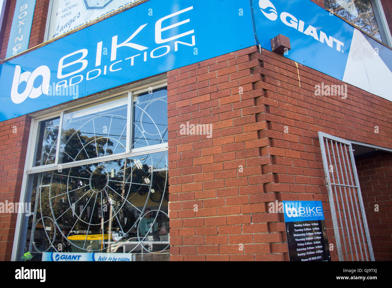 giant bicycle store
