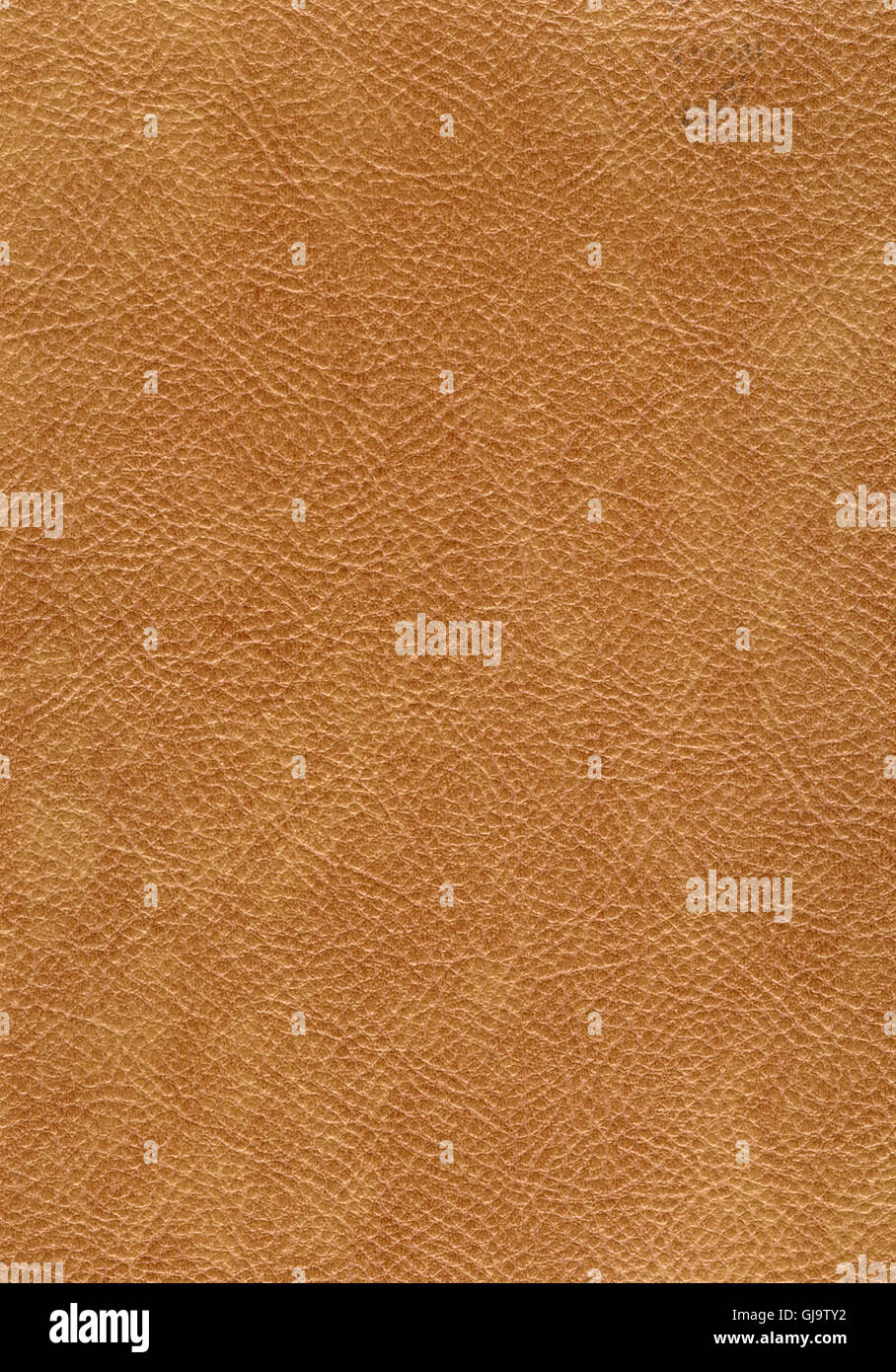 texture of skin Stock Photo Alamy