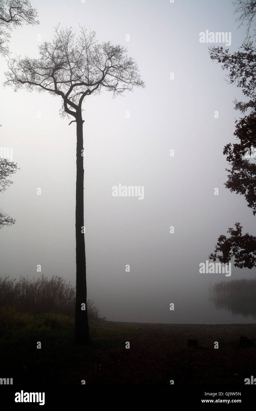 styx river Stock Photo Alamy