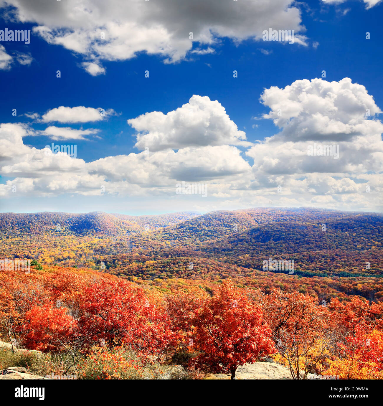 The foliage scenery from the top of Bear Mountain Stock Photo