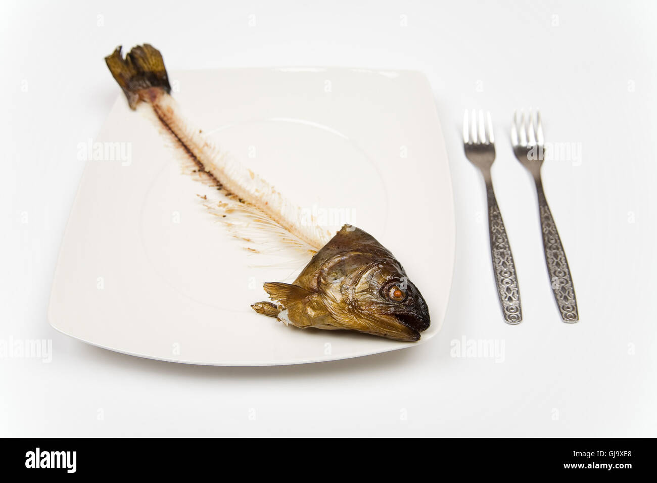 Skeleton Of Salmon High Resolution Stock Photography and Images Alamy