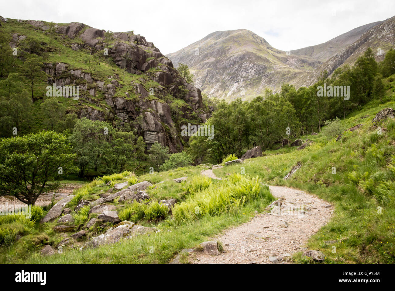Glen Nevis and The Steall Falls, Fort William, Scotland Stock Photo Alamy