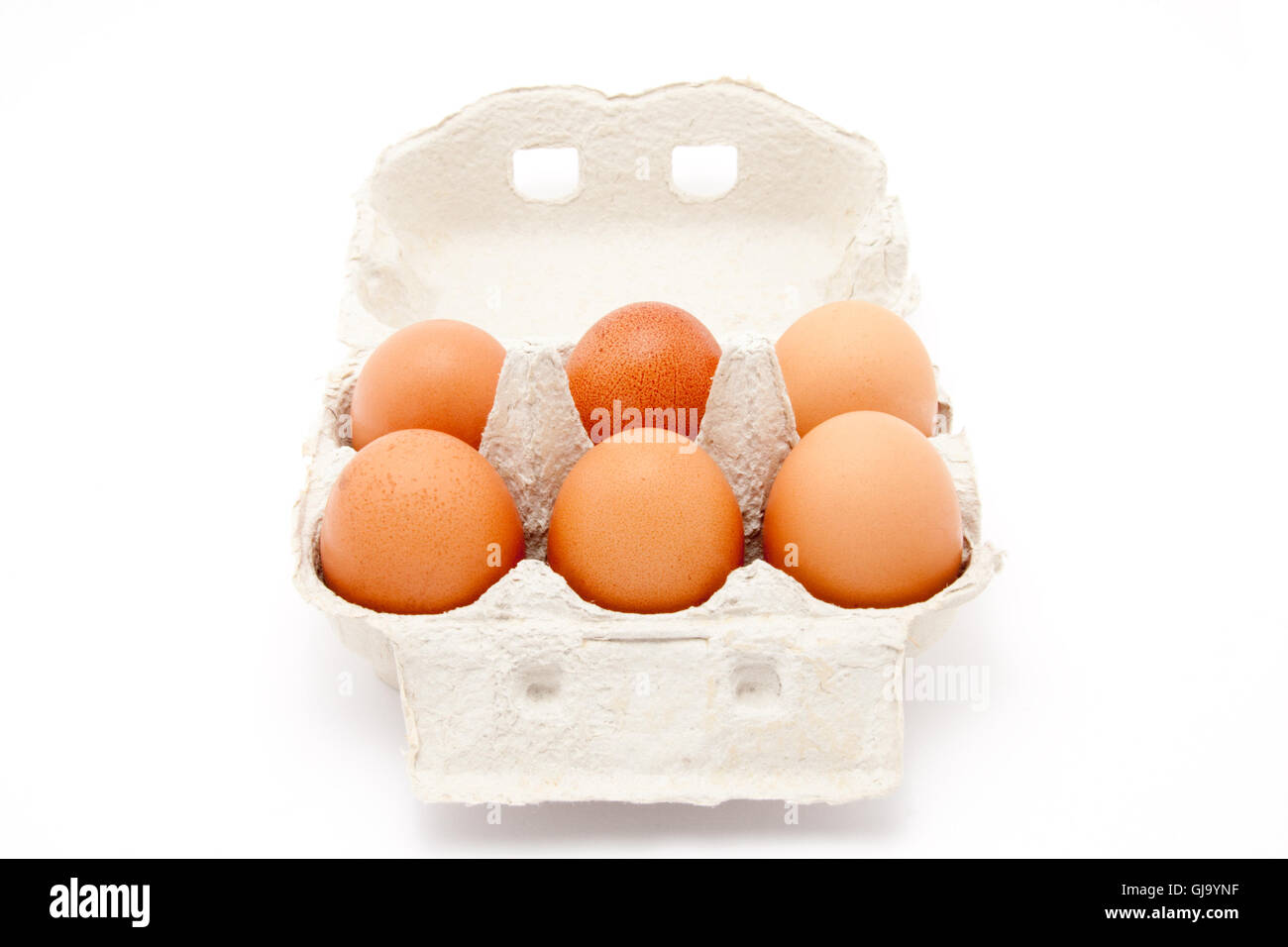 six brown organic eggs in a box Stock Photo
