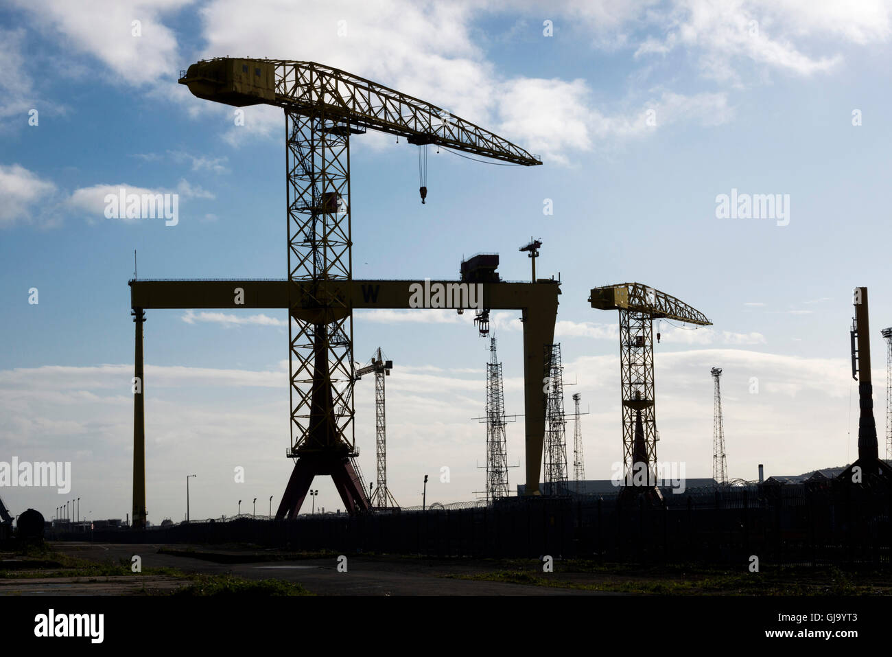 Samson and Goliath cranes owned by the infamous ship builders Harland