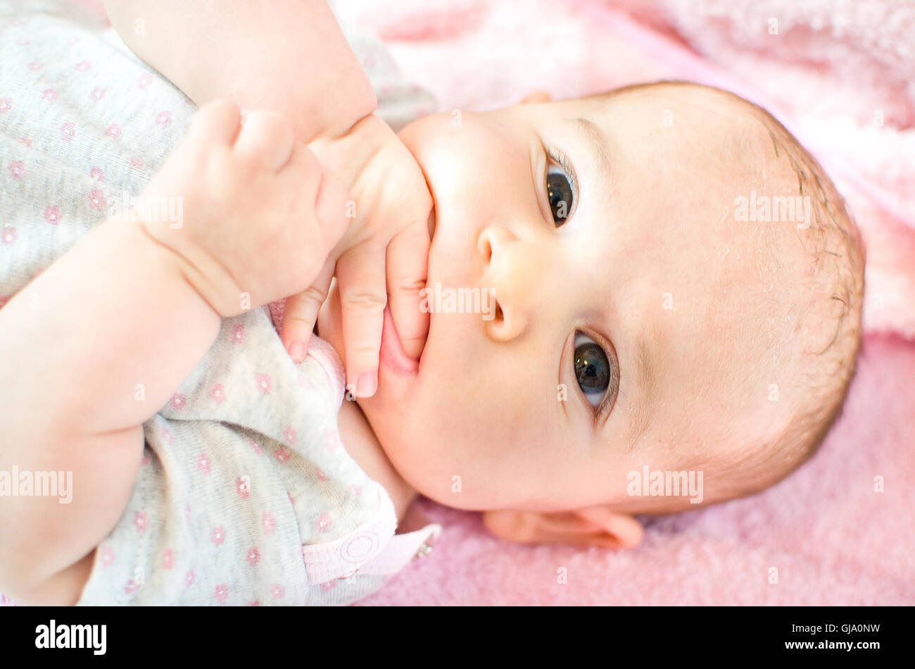 baby eat hands Stock Photo Alamy