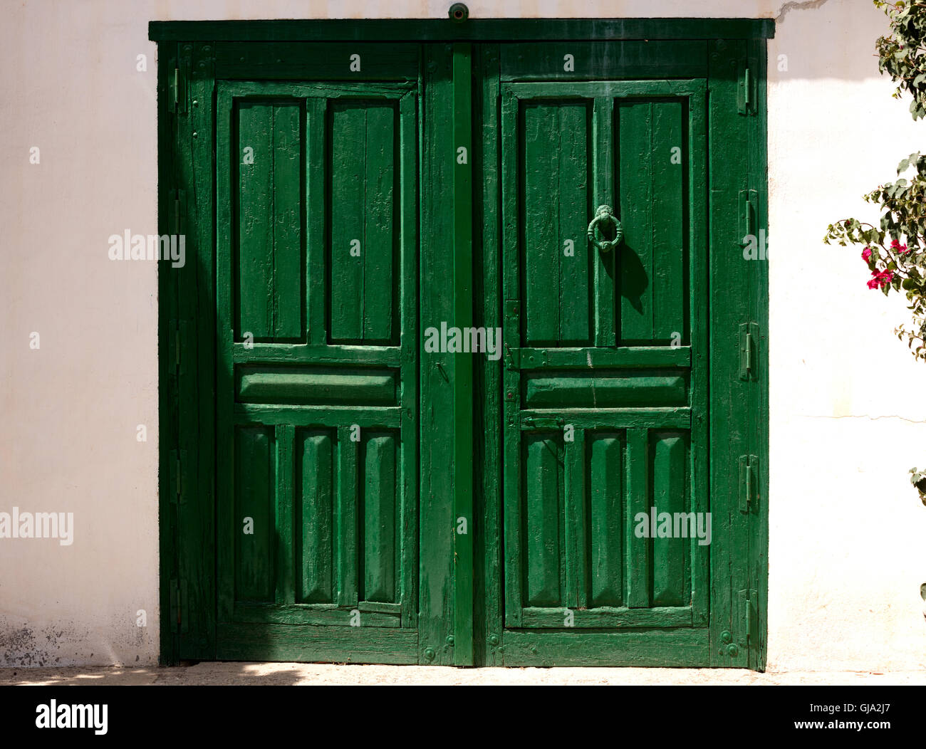 green wooden door closed Stock Photo Alamy