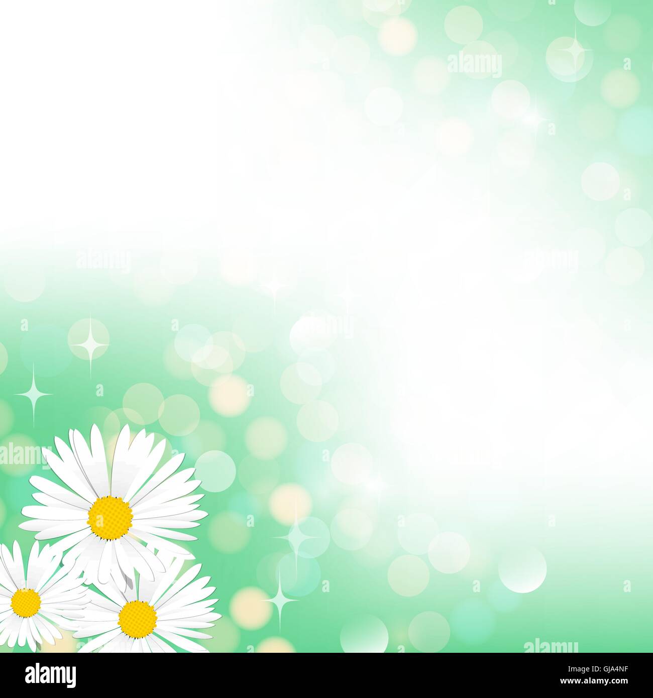 Camomiles background Stock Vector Images Alamy