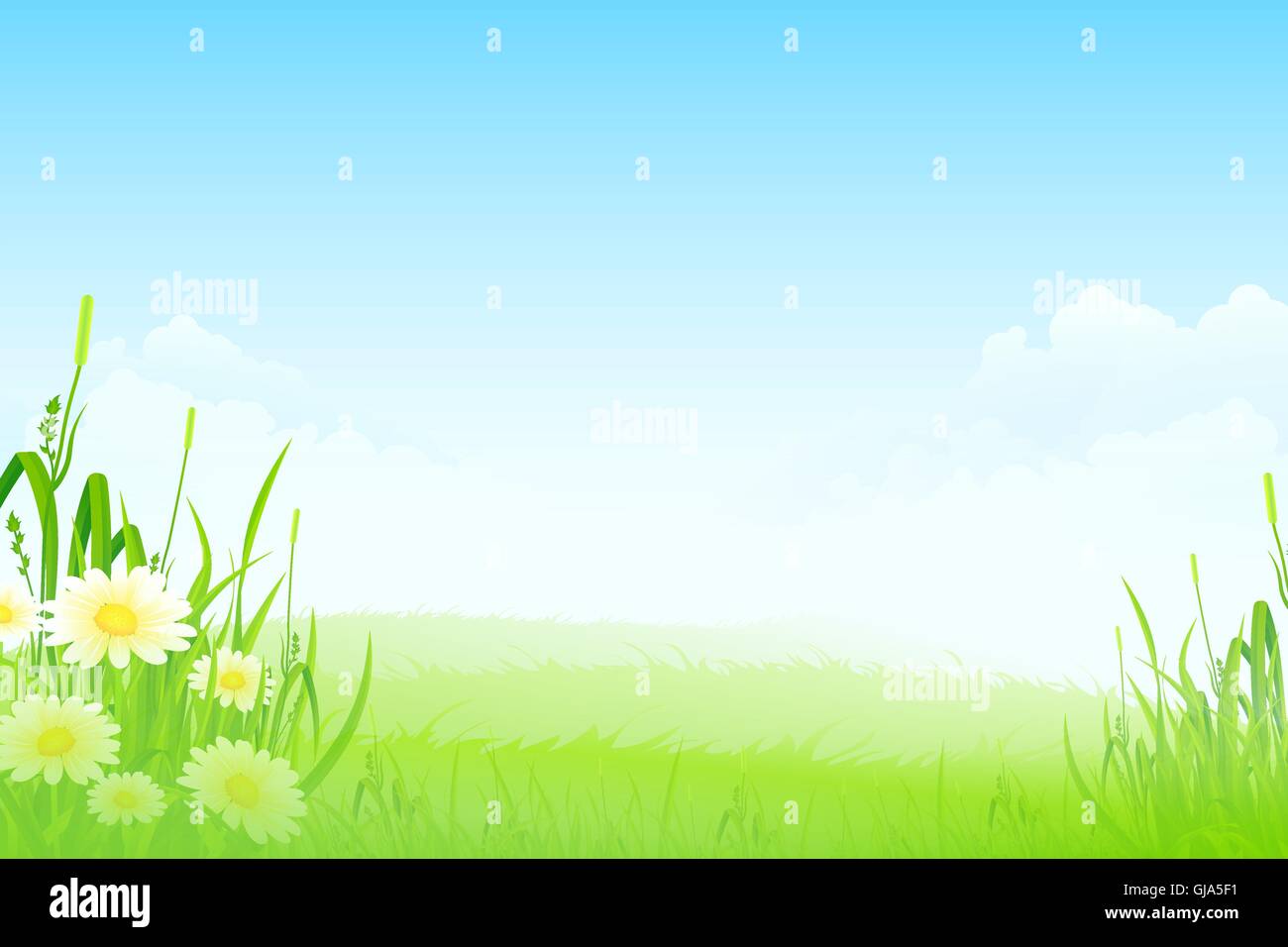 Green Landscape with Flowers Stock Vector Image & Art - Alamy