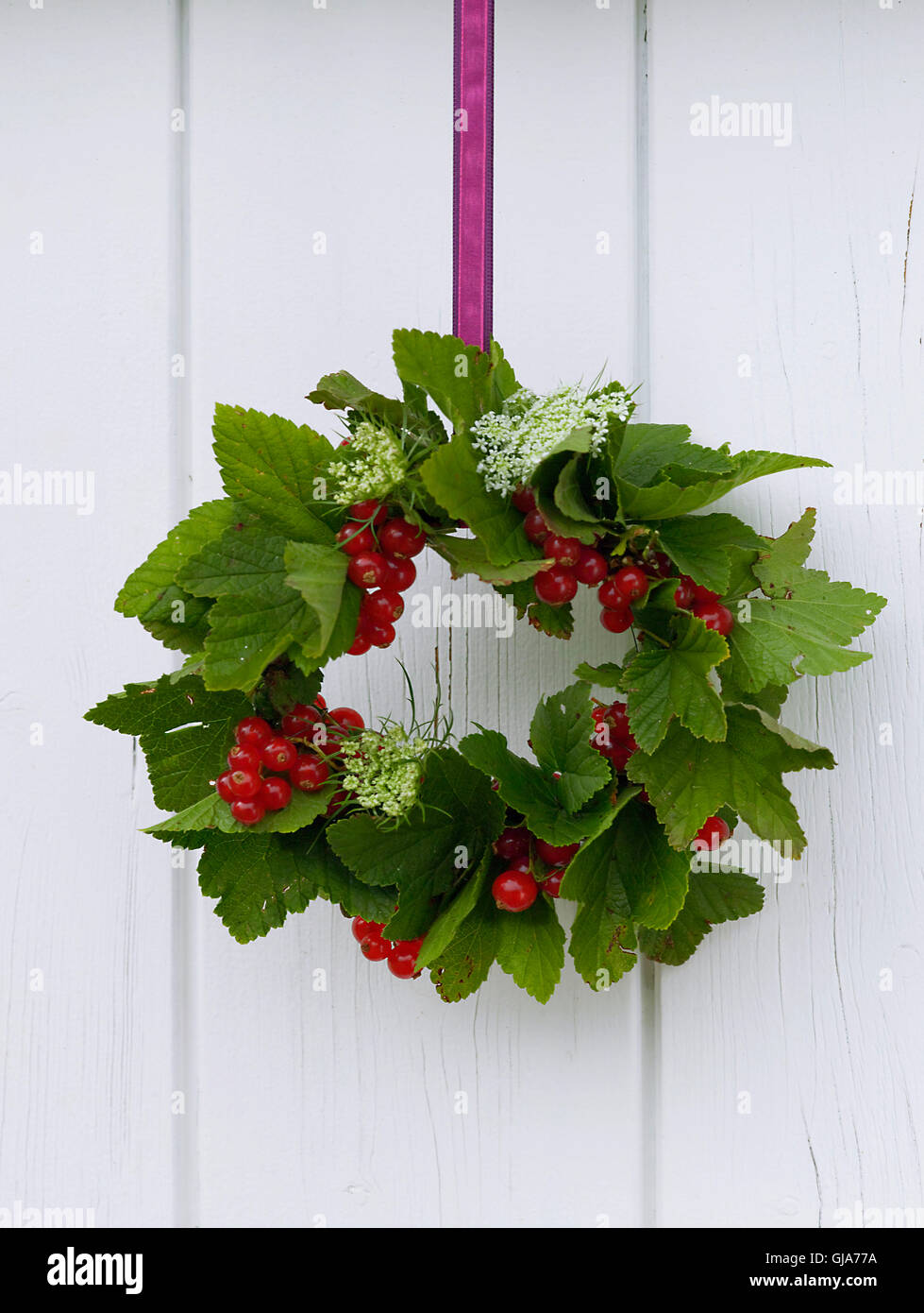 Berry wreath Stock Photo