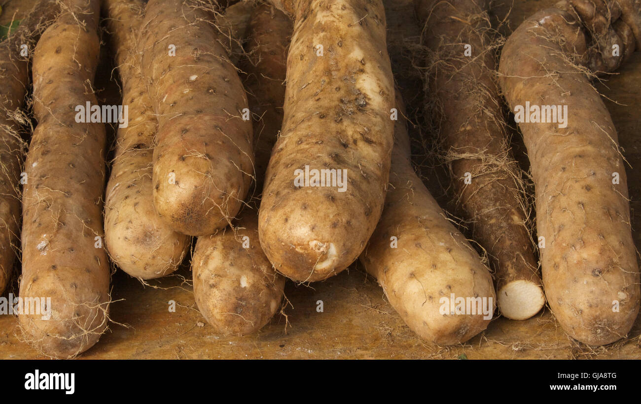 Chinese yam hires stock photography and images Alamy