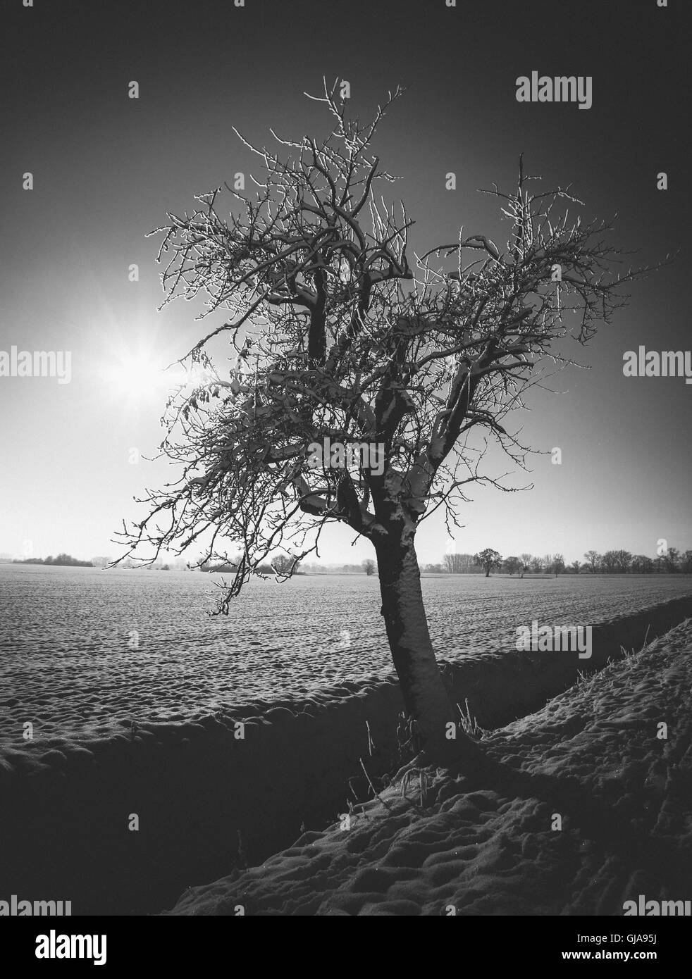 January scenery Black and White Stock Photos & Images - Alamy