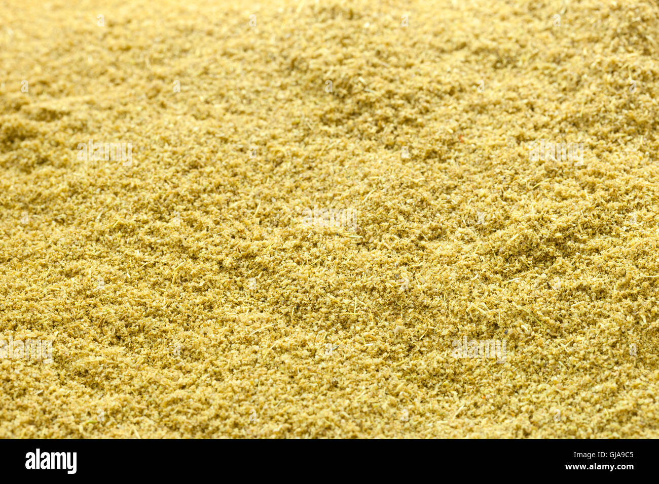 Cyminumn hires stock photography and images Alamy