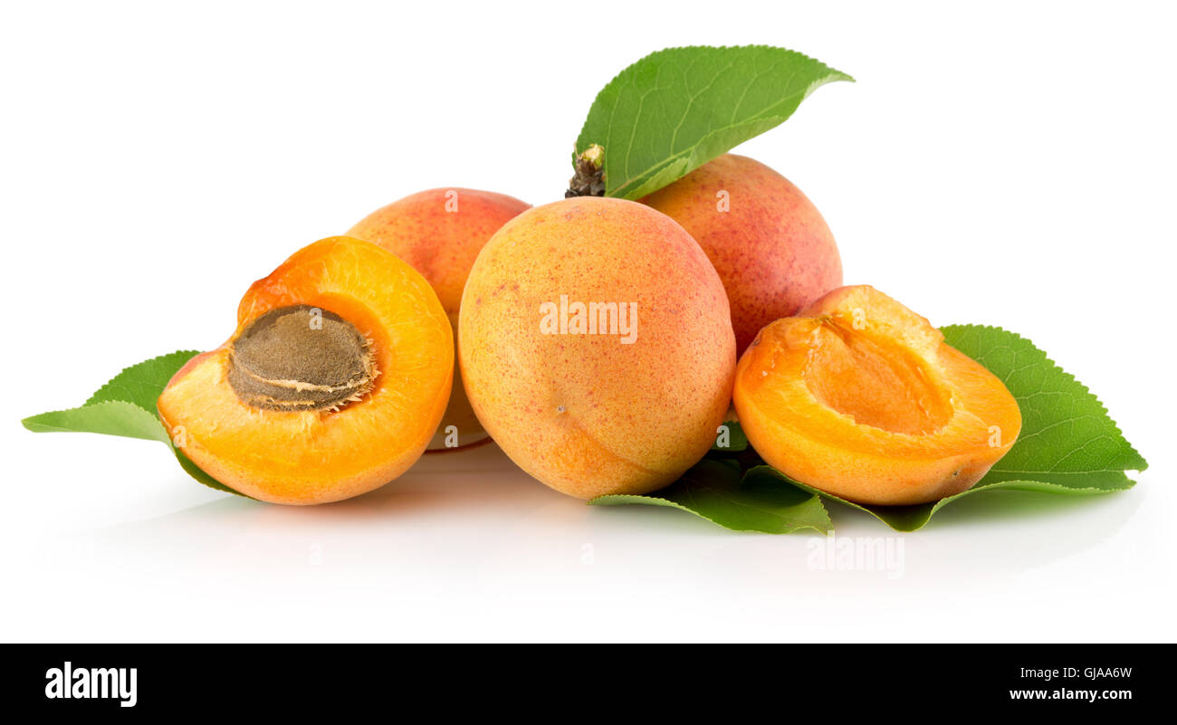 apricots isolated on the white background Stock Photo - Alamy