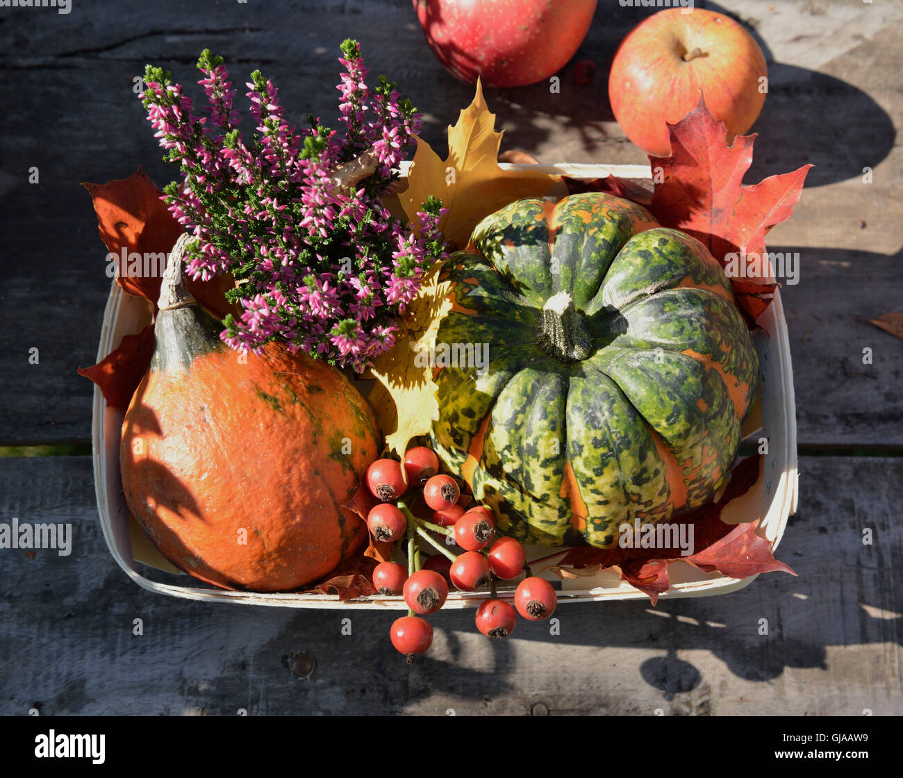 Gift basket with pumpkins Stock Photo